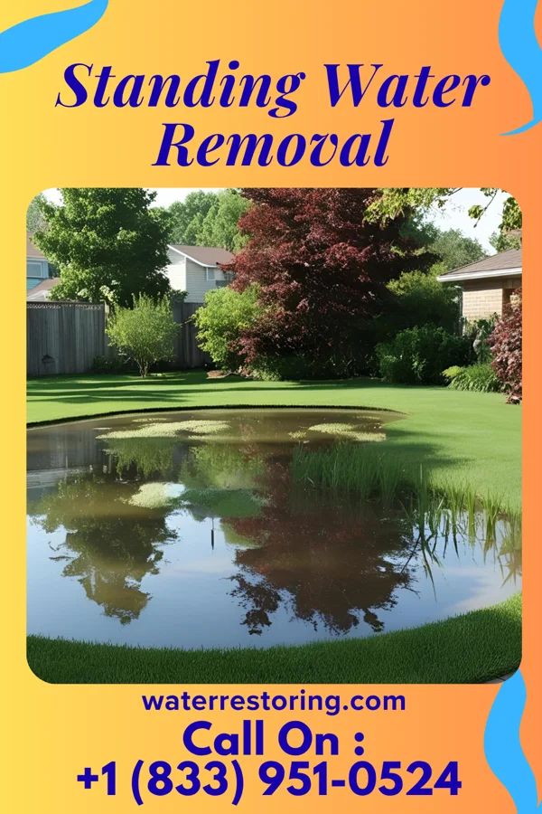 Standing Water Removal in New Franklin, MO